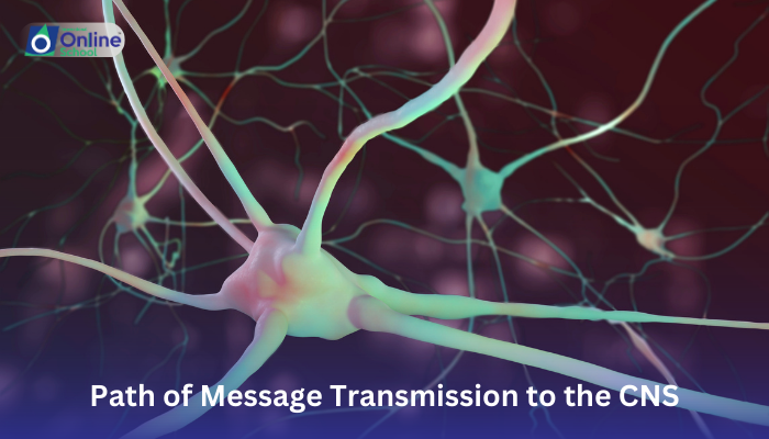 Lesson 02: Path of Message Transmission to the CNS